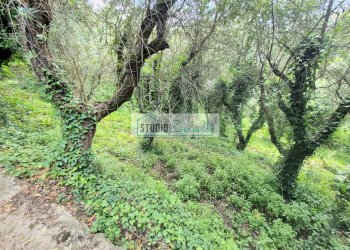 Foto 30 - Villa Via del Pezzigno
 
16, Camaiore - foto 30