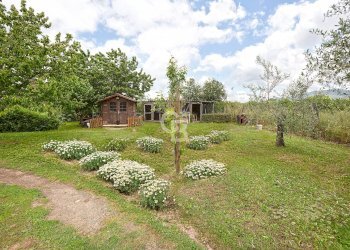 Foto 12 - Villa Strada Teverina, Viterbo - foto 12