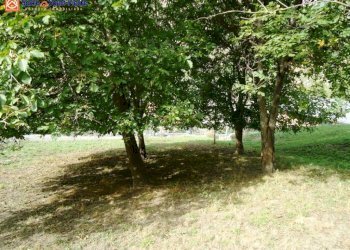 Foto 4 - Terreno edificabile Via Santantoine, Arvier - foto 4