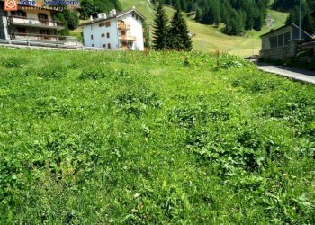 Foto 3 - Terreno edificabile frazione Chez Carral, Valgrisenche - foto 3