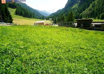 Foto 5 - Terreno edificabile frazione Chez Carral, Valgrisenche - foto 5