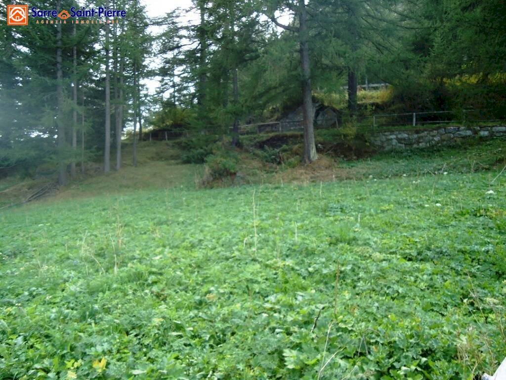 Foto 3 - Terreno edificabile frazione Gerbelle, Valgrisenche - foto 3
