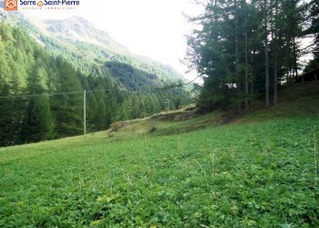 Foto 6 - Terreno edificabile frazione Gerbelle, Valgrisenche - foto 6
