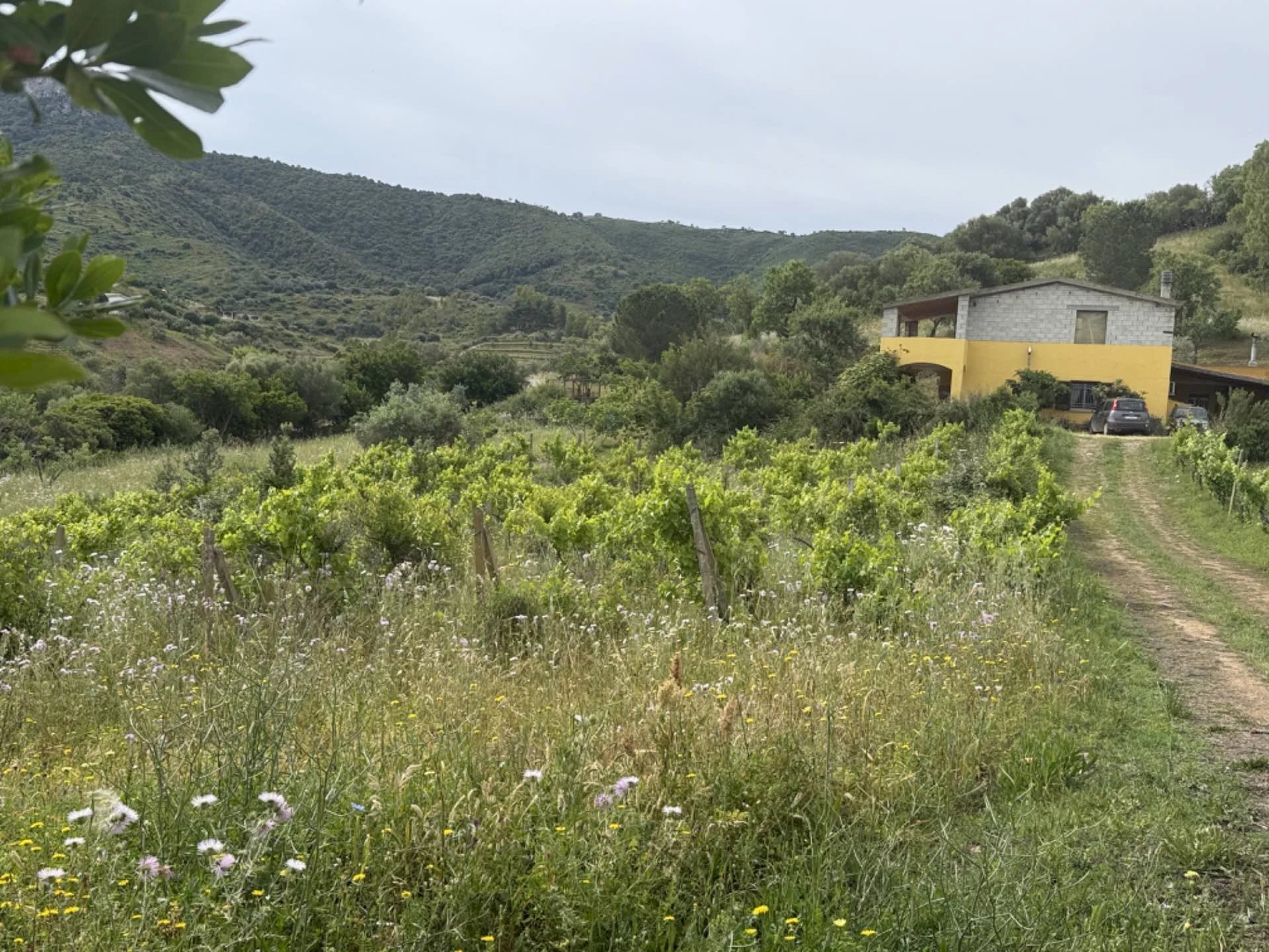 Trilocale Torpè - foto 2