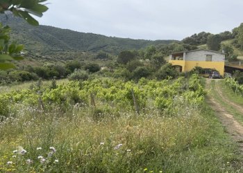 Trilocale Torpè - foto 2