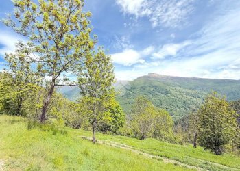 Rustico Frazione Desertes, Cesana Torinese - foto 19