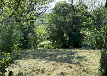 Casa indipendente Castel San Pietro Terme - foto 8