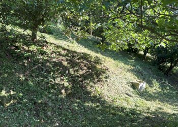 Casa indipendente Castel San Pietro Terme - foto 10