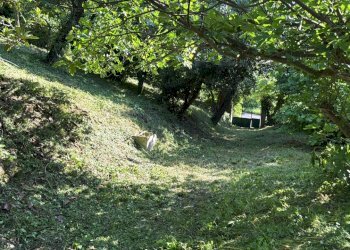 Casa indipendente Castel San Pietro Terme - foto 11