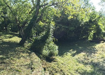 Casa indipendente Castel San Pietro Terme - foto 12