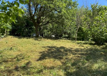 Casa indipendente Castel San Pietro Terme - foto 15