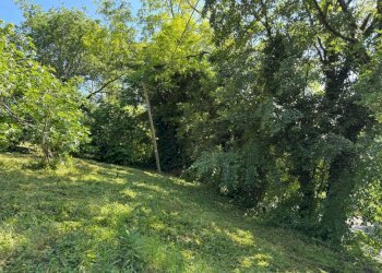 Casa indipendente Castel San Pietro Terme - foto 16