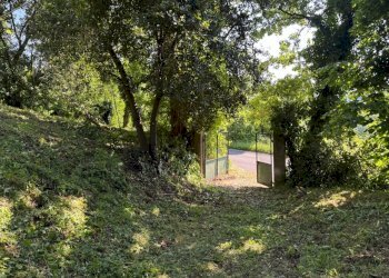 Casa indipendente Castel San Pietro Terme - foto 17