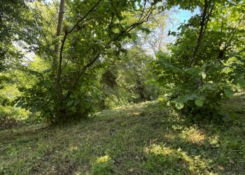 Casa indipendente Castel San Pietro Terme - foto 18