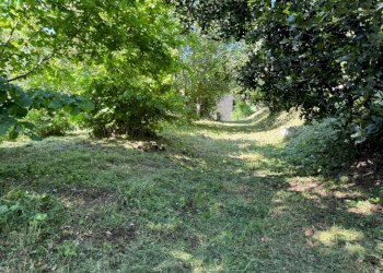 Casa indipendente Castel San Pietro Terme - foto 19