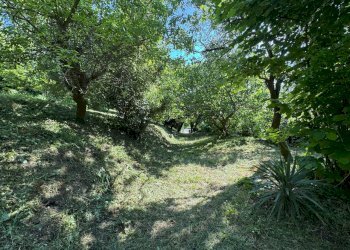 Casa indipendente Castel San Pietro Terme - foto 20