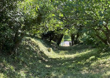 Casa indipendente Castel San Pietro Terme - foto 21