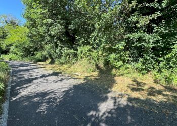 Casa indipendente Castel San Pietro Terme - foto 22