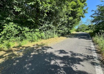 Casa indipendente Castel San Pietro Terme - foto 23