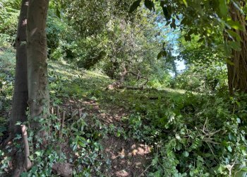 Casa indipendente Castel San Pietro Terme - foto 26