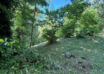 Casa indipendente Castel San Pietro Terme - foto 27