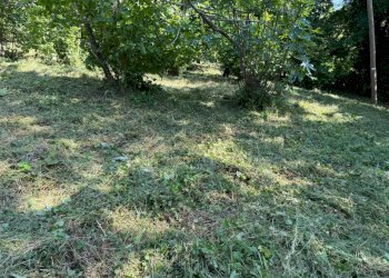 Casa indipendente Castel San Pietro Terme - foto 31