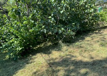 Casa indipendente Castel San Pietro Terme - foto 33