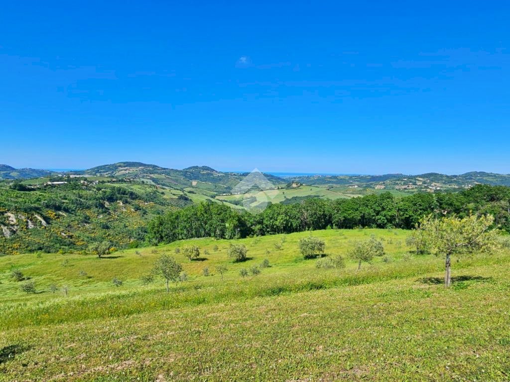 Agricultural land Via giordano bruno, Tavoleto - photo 1