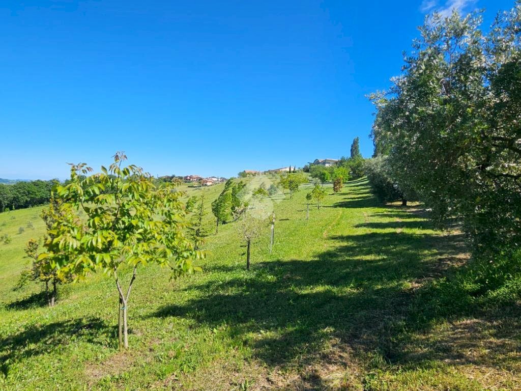 Agricultural land Via giordano bruno, Tavoleto - photo 2