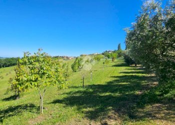 Terreno agricolo Via giordano bruno, Tavoleto - foto 2