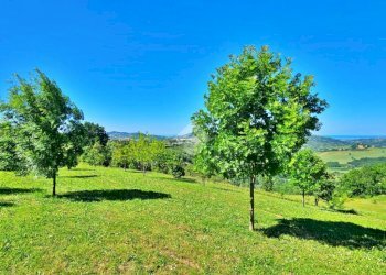 Terreno agricolo Via giordano bruno, Tavoleto - foto 8