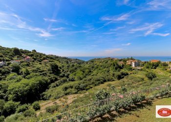 Vista mare e monti - Villa Via Dei Siri
 
131, Albisola Superiore - foto 8