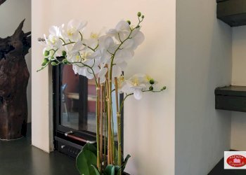 Camino - Villa Via Dei Siri
 
131, Albisola Superiore - foto 18