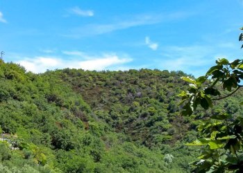 Panoramica casa - Villa Via Dei Siri
 
131, Albisola Superiore - foto 36