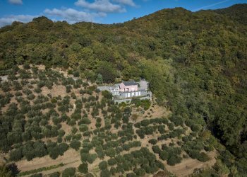 Esterno - Villa Via Dei Siri
 
131, Albisola Superiore - foto 40