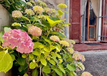 Foto 14 - Casa indipendente via Grugnaleto
 
20, Montemarciano - foto 14