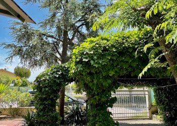 Foto 15 - Casa indipendente via Grugnaleto
 
20, Montemarciano - foto 15