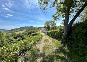 Foto 6 - Rustico Strada Provinciale
 
snc, Ripatransone - foto 6