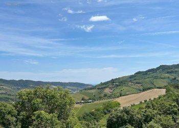 Foto 9 - Rustico Strada Provinciale
 
snc, Ripatransone - foto 9