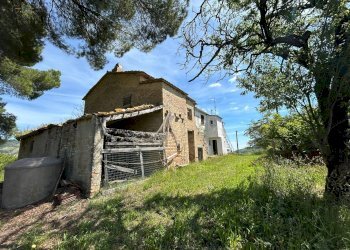 Foto 11 - Rustico Strada Provinciale
 
snc, Ripatransone - foto 11