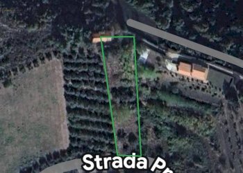 Foto 17 - Rustico Strada Provinciale
 
snc, Ripatransone - foto 17