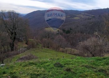Vista delle montagne - Casa semi indipendente Loc. Villa di Compito
 
16, Chiusi della Verna - foto 21