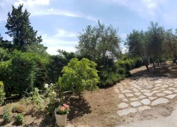 Foto 11 - Villa a Schiera Firenze - foto 11