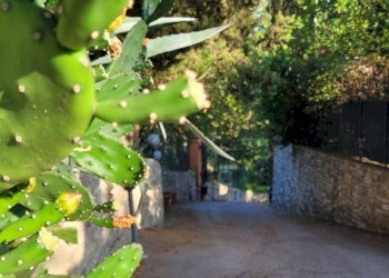 Foto 15 - Villa a Schiera Firenze - foto 15