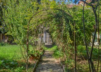 Foto 14 - Rustico Strada Valle San Pietro
 
31, Pecetto Torinese - foto 14