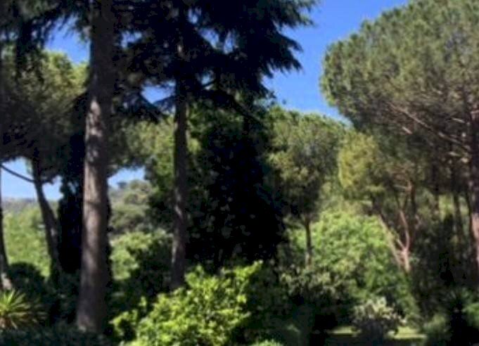 Zona - Appartamento piazza dei Giuochi Delfici, 1, Roma - foto 1