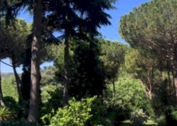 Zona - Appartamento piazza dei Giuochi Delfici, 1, Roma - foto 1