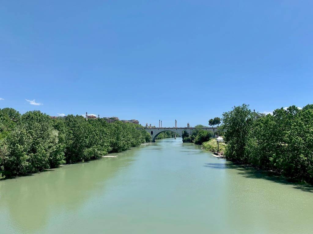 Zona - Attico piazza dei Giuochi Delfici, 2, Roma - foto 2