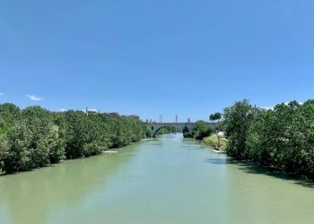 Zona - Attico piazza dei Giuochi Delfici, 2, Roma - foto 2