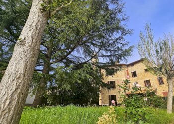giardino - Casa indipendente Pietro Perugino, Perugia - foto 14